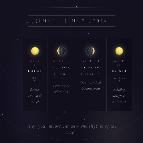 Moon phases journey 🌑🌘🌗🌖🌕🌔🌓🌒🌑
