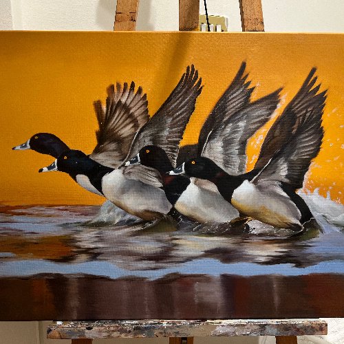 التلوين الزيتي ( المستوى الاحترافي ) 🎨